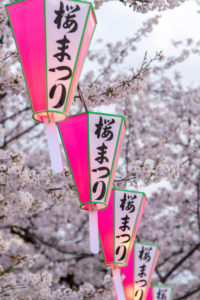 ACEID2023 Cultural Event: Hanami in the Imperial Gardens